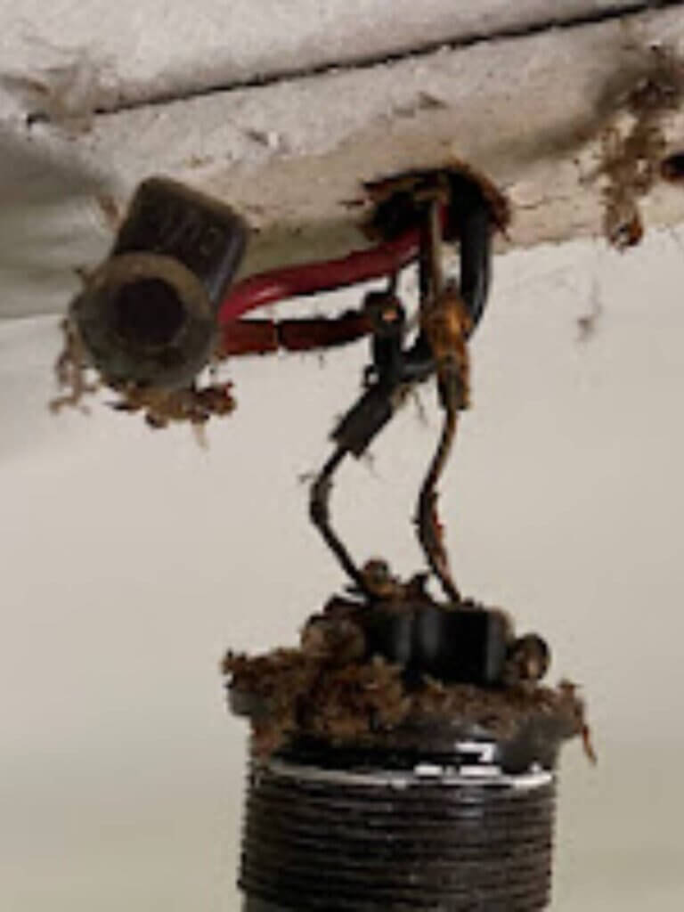 Electrical Rewiring Perth